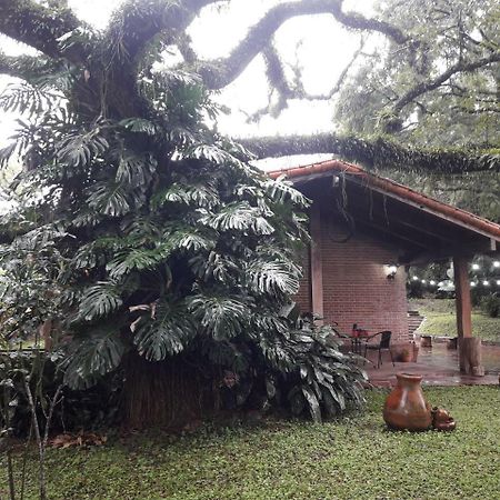 Albergue Terrazas Del Coya San Salvador de Jujuy Exterior foto