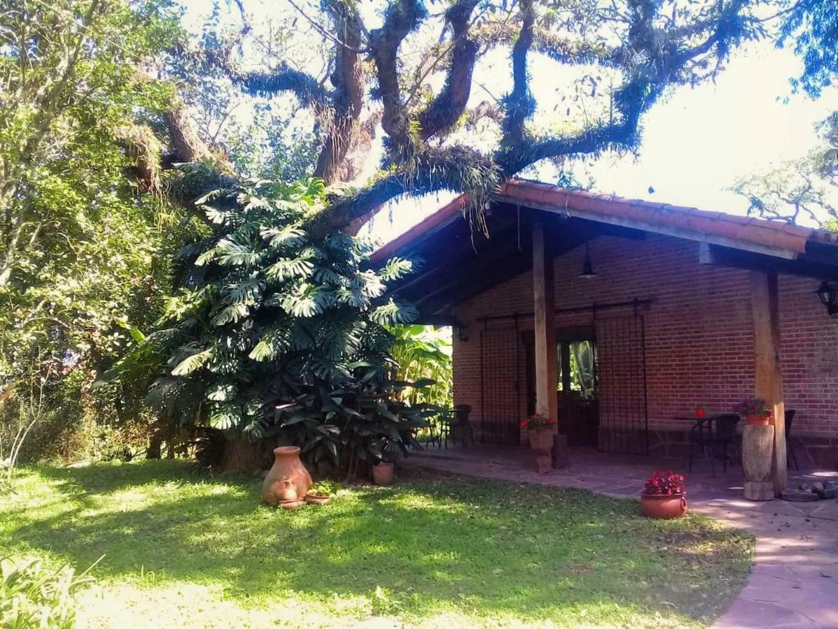 Albergue Terrazas Del Coya San Salvador de Jujuy Exterior foto